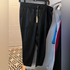 Max studio pleather pants